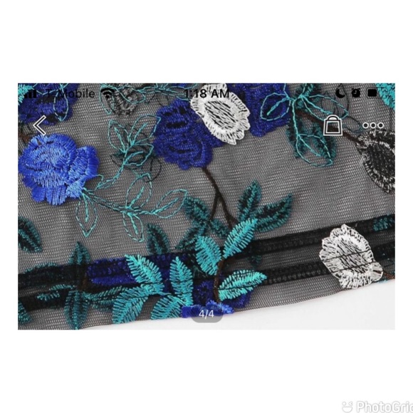 Embroidered Floral Sheer Mesh Crop Top - Picture 5 of 8